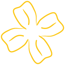 Kontur gelbes Kleeblatt gedreht von Lichtblicke Bardenberg auf der Webseite von Petra Weis aus Würselen.